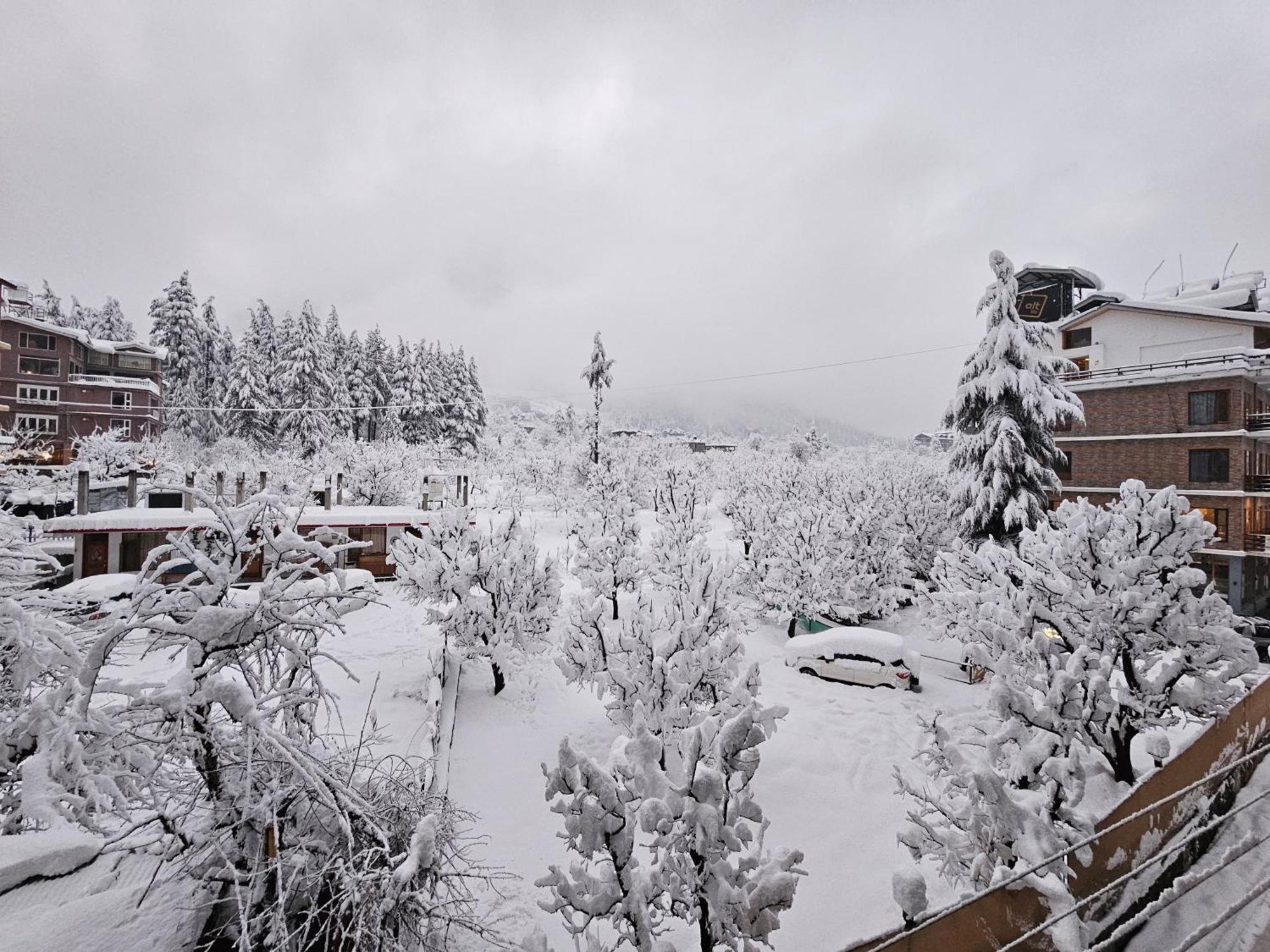 Hotel Apple Flower Manāli Dış mekan fotoğraf